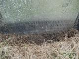 image of grave number 661284